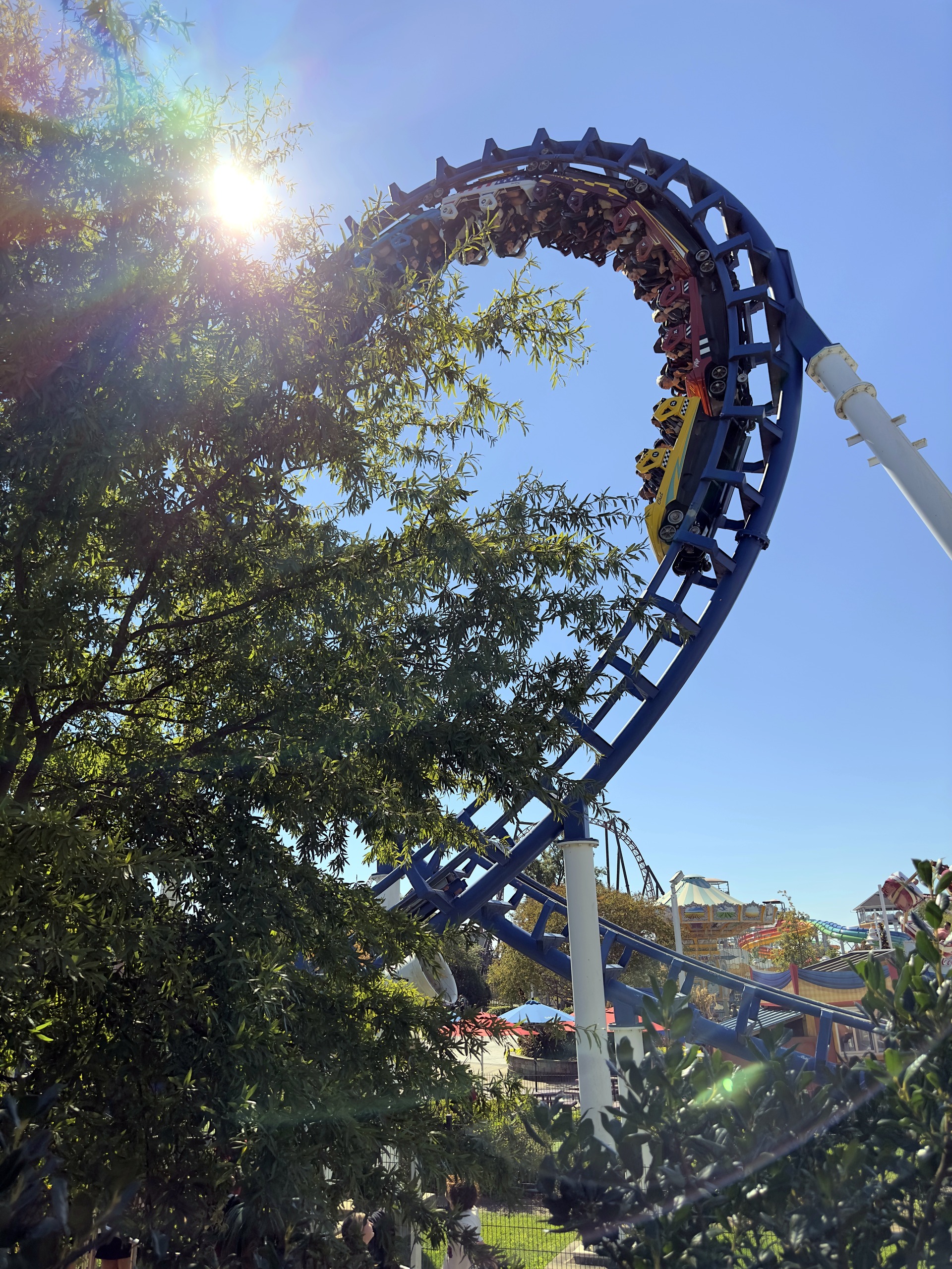 The Flying Cobras at Carowinds