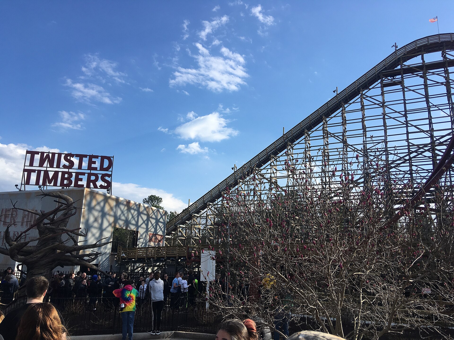Twisted Timbers at Kings Dominion