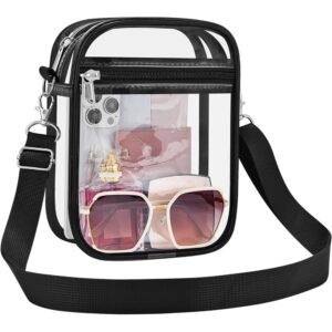 Small Clear Purse