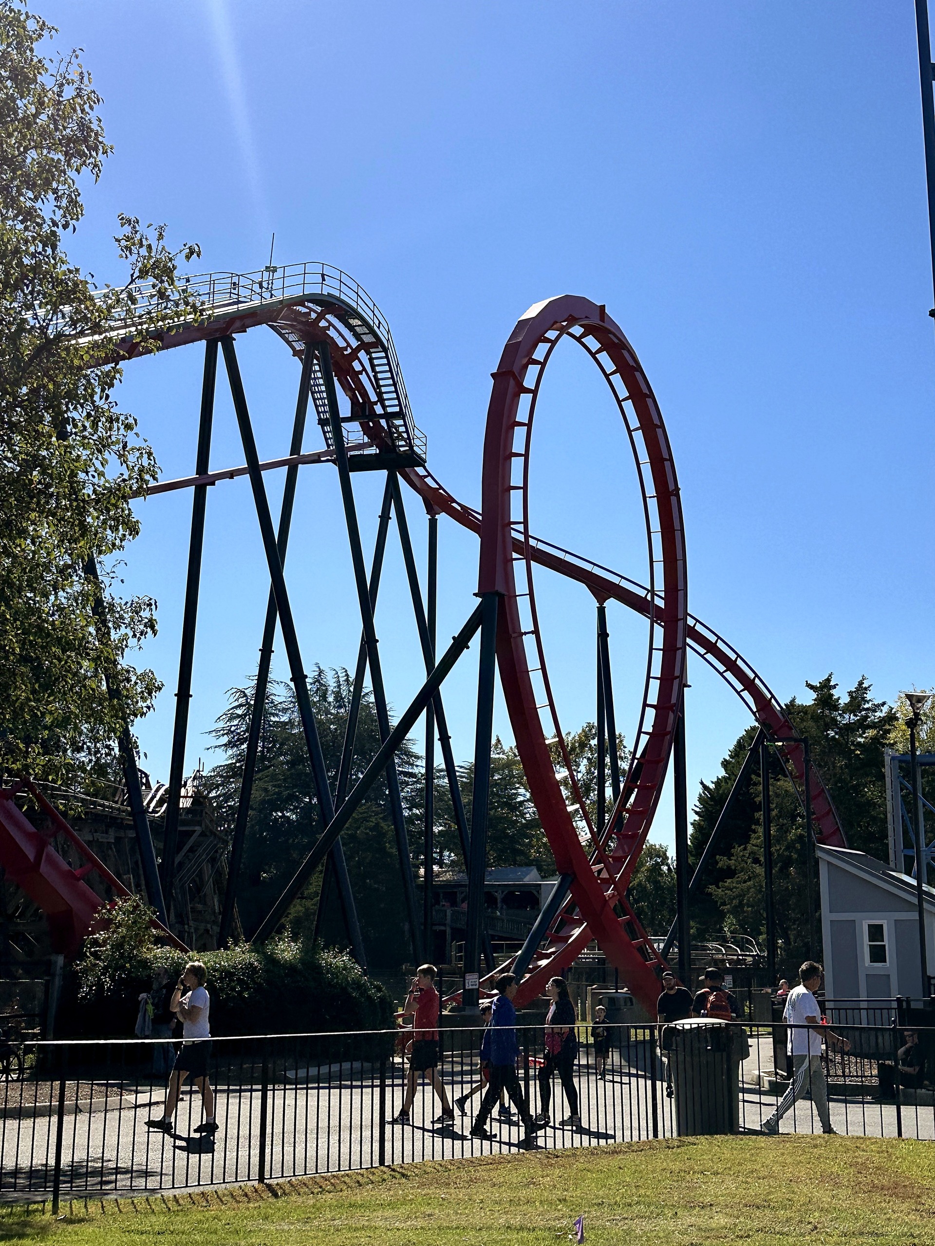 Vortex's red vertical loop and black supports from the path at Carowinds, October 2024