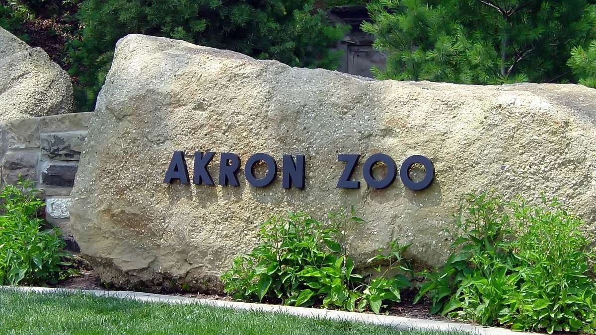 Wild Lights 2026 at the Akron Zoo