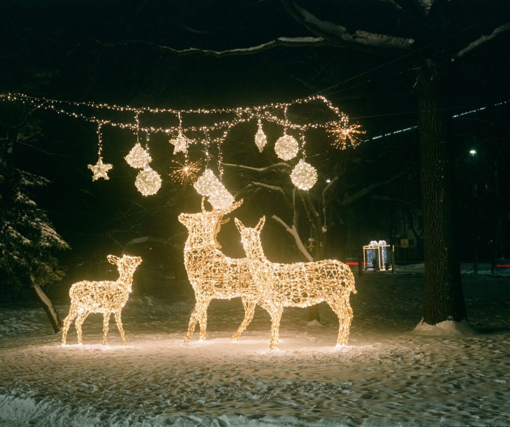 Wild Lights at Fort Wayne Children's Zoo