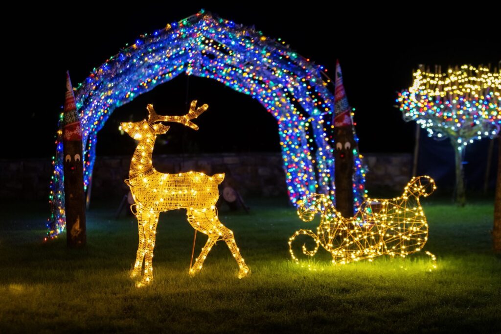 Wild Lights at Milwaukee County Zoo