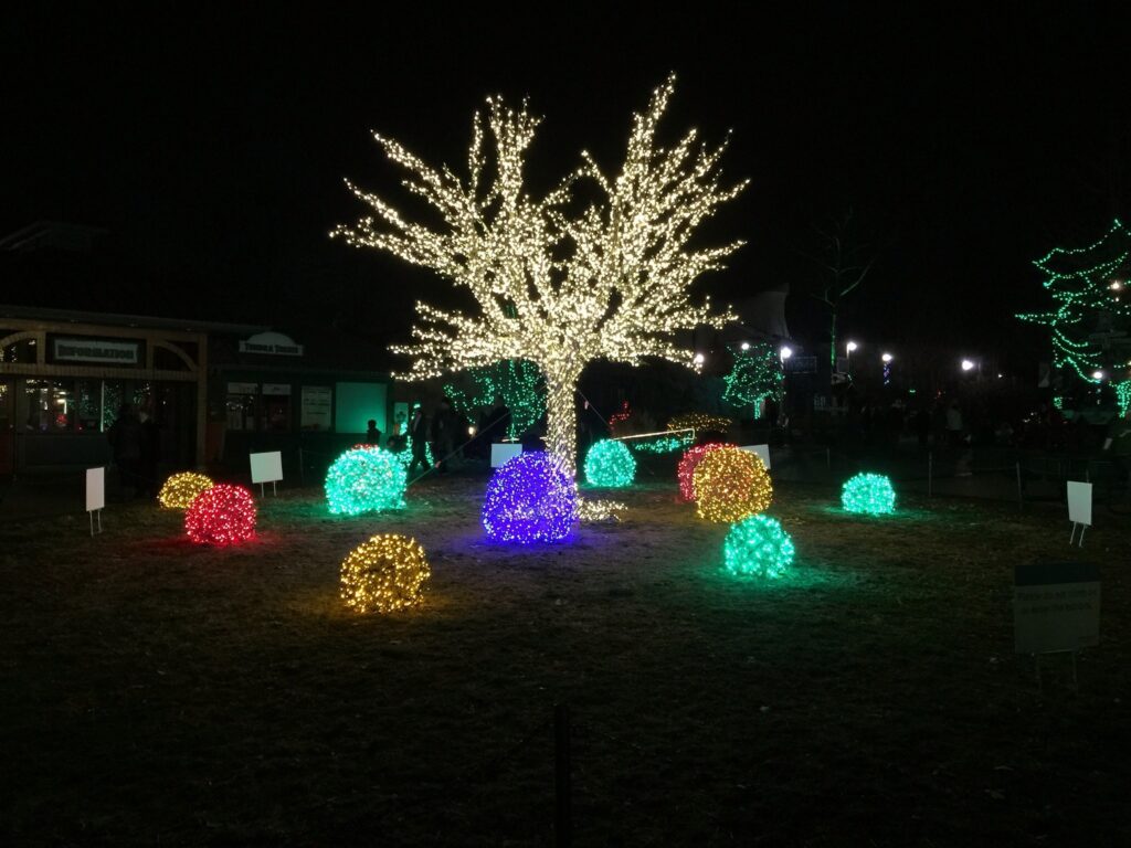 Wild Lights at Saint Louis Zoo