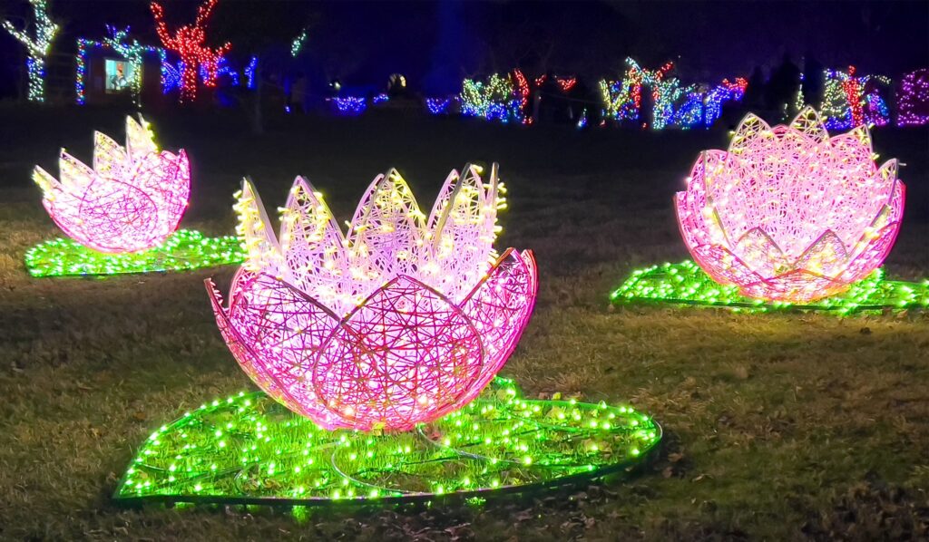 Winter Walk of Lights at Meadowlark Botanical Gardens