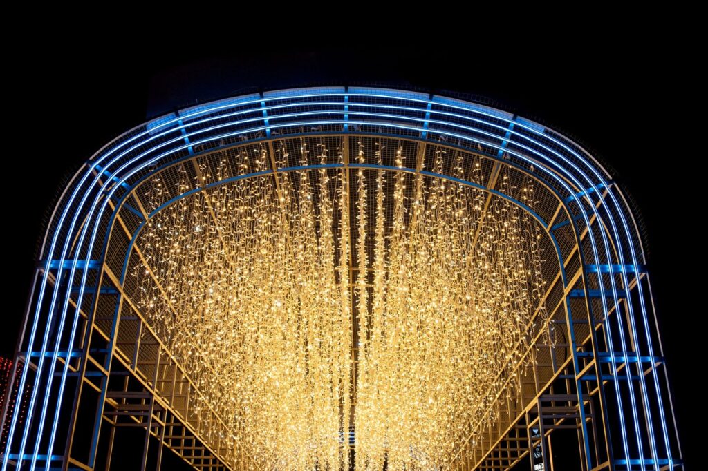 Holiday light tunnel at a zoo and garden light show