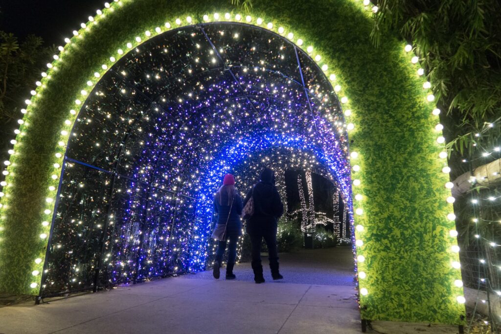 Zoo Lights at Houston Zoo