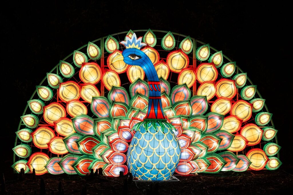 Zoo Lights at San Antonio Zoo