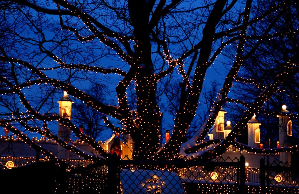 ZooLights at Stone Zoo