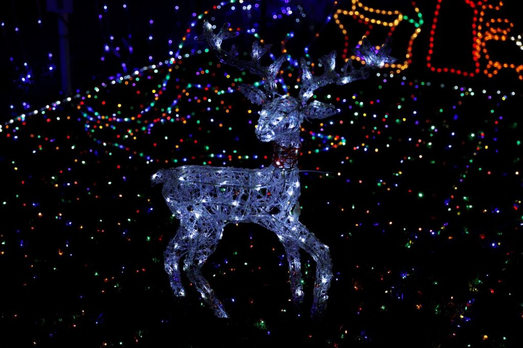 ZooLights at Utah's Hogle Zoo